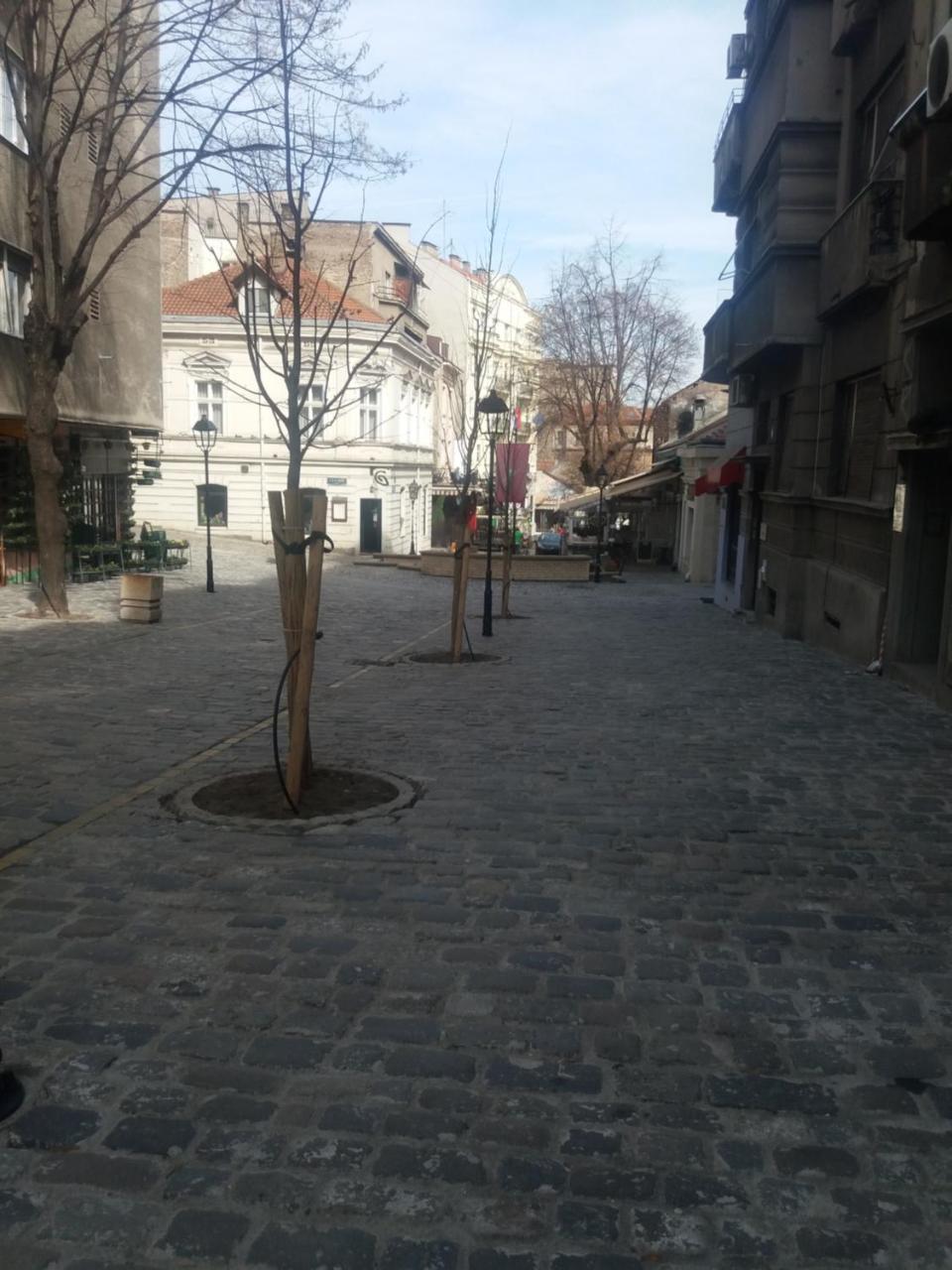 City Center Room Beograd Eksteriør billede
